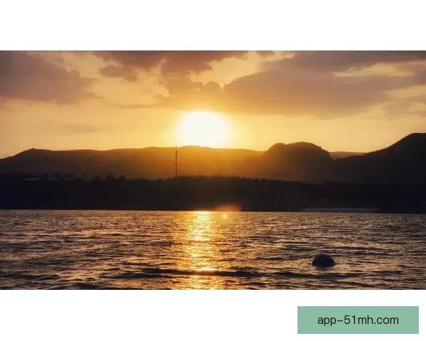 光影斑驳，梦境流转：电影，不止于观影